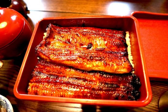 スマホで成田の「うなぎ」を食べよう 京成電鉄からGo Toトラベル対象チケット