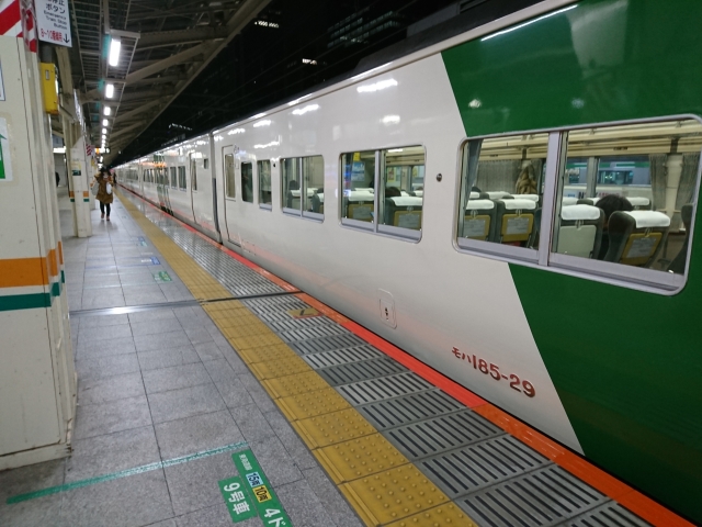 臨時快速「ムーンライトながら」号に使用されていたJR東日本185系電車