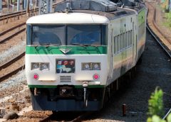 快速「あしかが大藤まつり号」に使用されるJR東日本185系電車