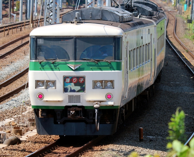 快速「あしかが大藤まつり号」に使用されるJR東日本185系電車