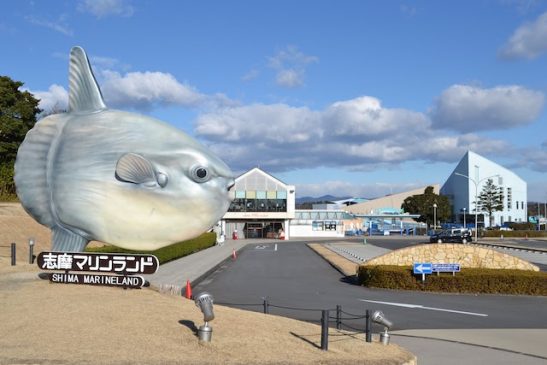 「志摩マリンランド」が3月末で営業休止 マンボウで有名な近鉄賢島駅前の水族館