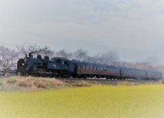 蒸気機関車C11形けん引による真岡鐵道「SLもおか」