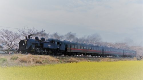 蒸気機関車C11形けん引による真岡鐵道「SLもおか」