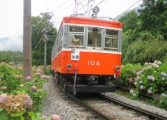 箱根登山鉄道モハ1形104号