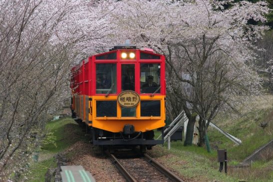 「嵯峨野トロッコ列車」3月1日運行開始 抗ウイルス車両で春の京都・保津峡を満喫