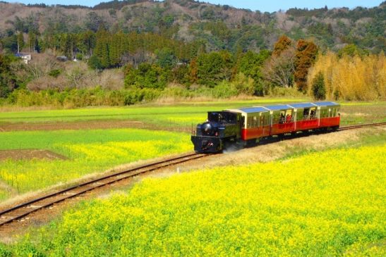小湊鐵道「房総里山トロッコ」運転開始 カフェ併設の「こみなと待合室」もオープン