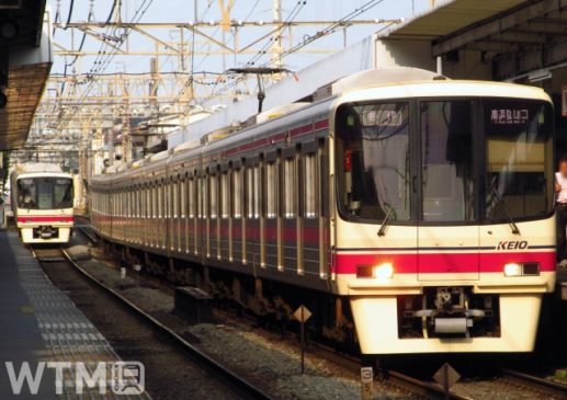 京王沿線からも「みさきまぐろきっぷ」 約4,000円でランチ付き三浦半島日帰り旅行へ
