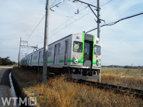 トリンドル玲奈が動画でご案内 猫好きのための養老鉄道「ねこカフェ列車」第2弾