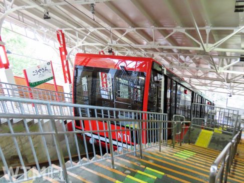 阪急・阪神など「高野山1dayチケット」発売 電車全区間と高野山内バスが1日乗り放題