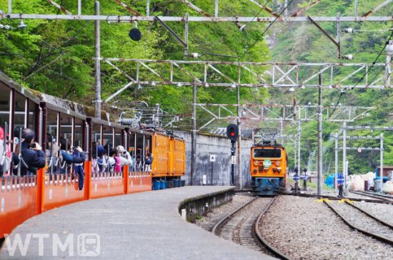 黒部峡谷トロッコ電車が20日運転開始 「夏休み小学生無料」など創立50周年割引企画も