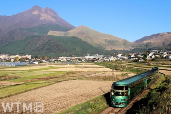 JR九州「ゆふいんの森」など観光列車で酒類販売休止 緊急事態宣言など受け制限を強化