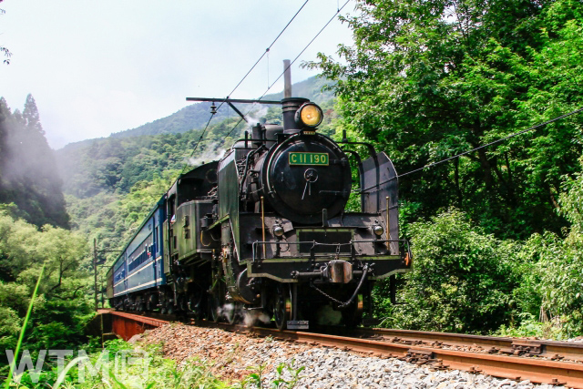 「SLかわね路号」として運行される大井川鐵道C11形190号機蒸気機関車(八木迷々/写真AC)
