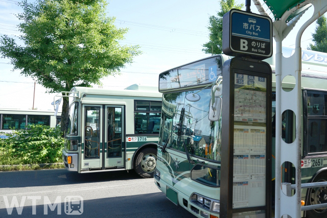 立命館大学前停留所に停車中の京都市バス(umii/TOKYO STUDIO)