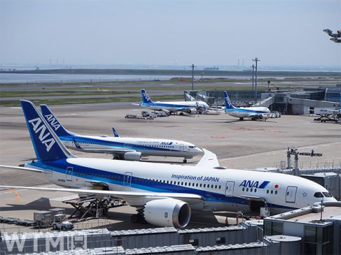 毎月29日は「ANAにキュン!」国内線航空券セール開催 宿泊パッケージの割引クーポンも