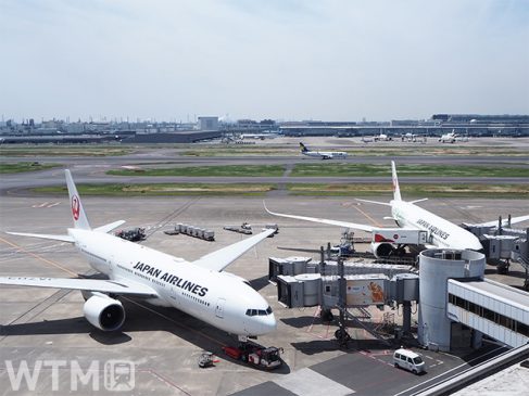 JAL 飛行機の後退距離30秒短縮でCO2削減 羽田空港で「ショートプッシュバック」導入