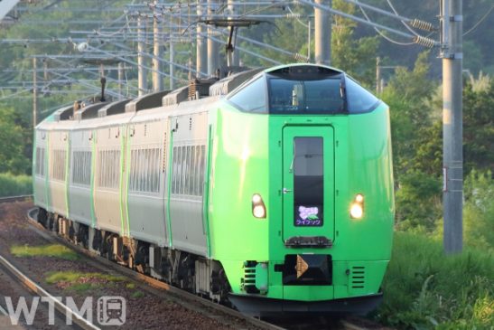 JR北海道「ライラック旭山動物園号」運転中止へ 7月17日以降 新型コロナで利用者減少
