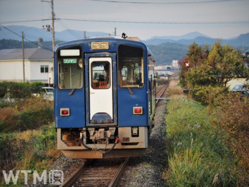 秋田内陸縦貫鉄道 車窓が「展望台」の田んぼアート 沿線5か所で見えます 見頃は7〜9月