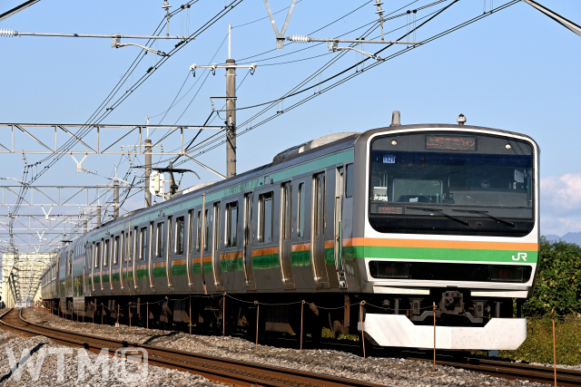 JR東日本E231系近郊タイプ(ちゃんこちゃんこ/写真AC)