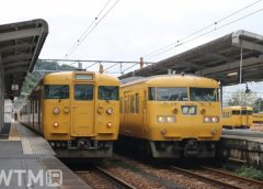山陽本線糸崎駅に停車中のJR西日本115系電車(左)と117系電車(KUZUHA/写真AC)