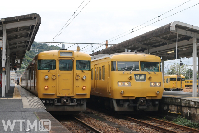 山陽本線糸崎駅に停車中のJR西日本115系電車(左)と117系電車(KUZUHA/写真AC)