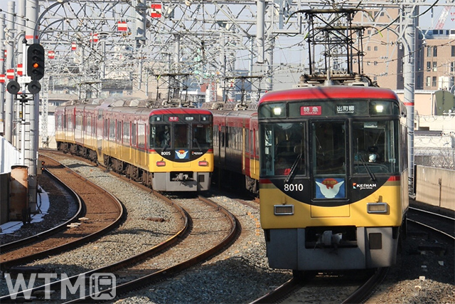 複々線区間を走行する京阪8000系電車並び(KUZUHA/写真AC)