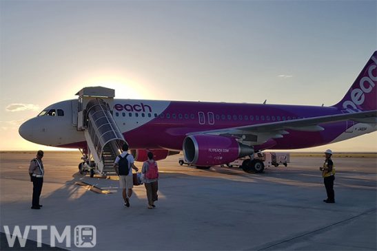 ピーチ「24時間限定セール」国内線3,000円〜 夏休み・お盆も全便対象 13日22:00開始
