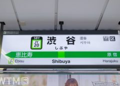 山手線渋谷駅内回りホームの駅名標(源五郎/写真AC)