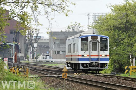 常総線・竜ケ崎線「夏のお出かけ! キャンペーン」 乗り放題きっぷ毎日利用OK 関東鉄道
