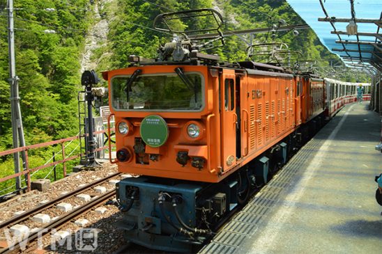 意外なコラボ「黒部峡谷鉄道×湘南モノレール」 一緒に50周年 夏休み2社スペシャル企画