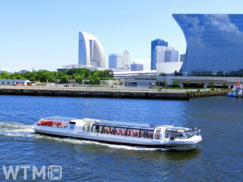 横浜「シーバス」と地下鉄・バス乗り放題 期間限定「みなとぶらりシーバスチケット」