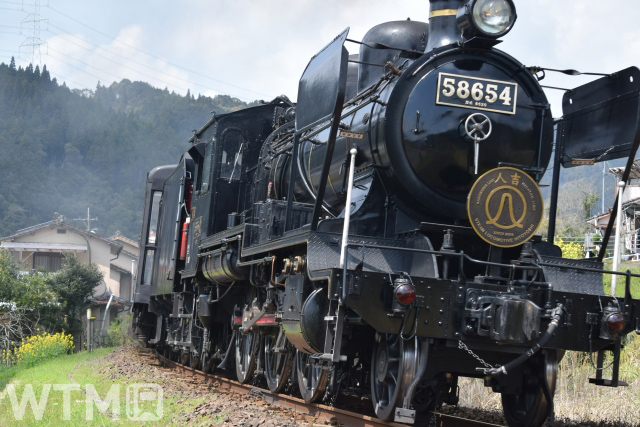 JR九州「SL人吉」をけん引する蒸気機関車8620形58654号機(ウッドベル/写真AC)