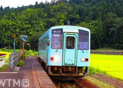 越美北線一乗谷駅に到着するJR西日本キハ12形気動車(marko_tokyo/写真AC)