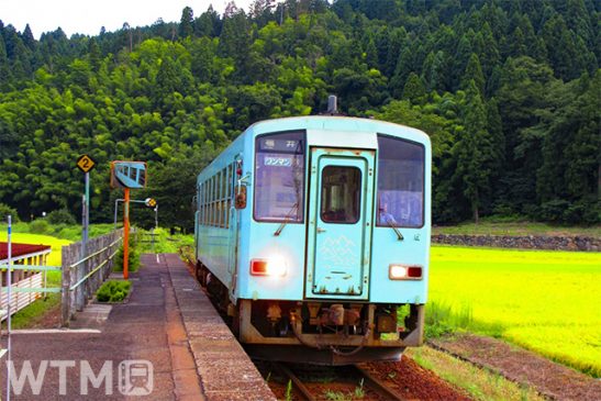JR西日本10月ダイヤ見直し 小浜線・越美北線で減便 始発最大3時間繰り下げ 北陸エリア