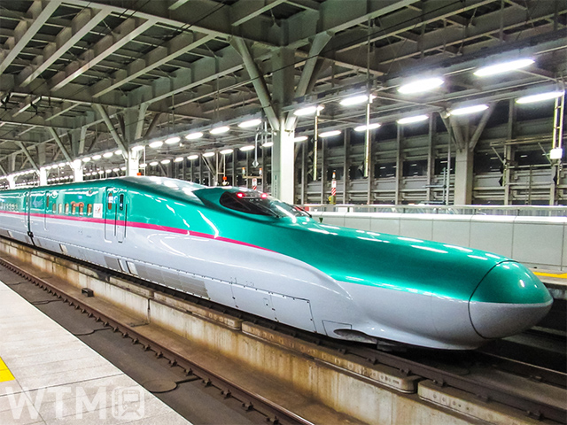 東北新幹線E5系(nozomi500/写真AC)