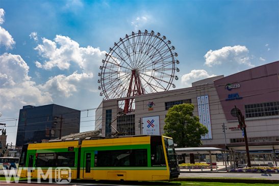 鹿児島市電にスマホで乗り降り「24時間乗車券」 市バスも乗り放題 飲食店の特典も追加