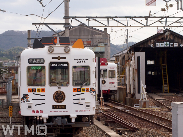 和歌山電鐵2270系電車「たま電車」(由華。/写真AC)