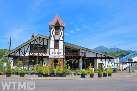 【週間TOP5】水族館の水中ドローンを遠隔操作 北海道から爽やかな「ニセコ号」の便り