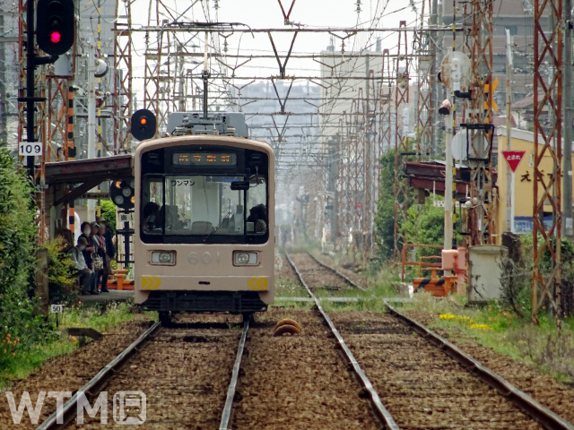 東湊停留所に到着する阪堺電気軌道モ601形電車(Inushita/写真AC)