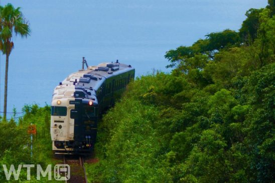 「ふたつ星4047」 佐賀・長崎に新しい観光列車 西九州新幹線開業の22年秋登場 JR九州