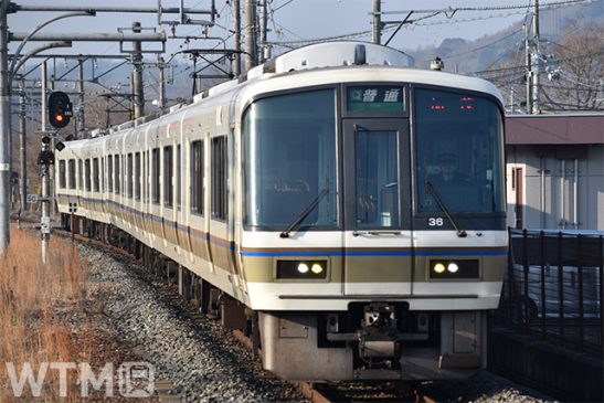 JR西日本など8社連携「秋の関西1デイパス」 近江鉄道も乗り放題 選べる4つのチケット