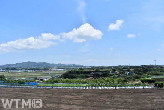 三浦海岸駅と油壺で電動キックボード貸出 30分500円 三浦半島の移動手段を多様化 京急