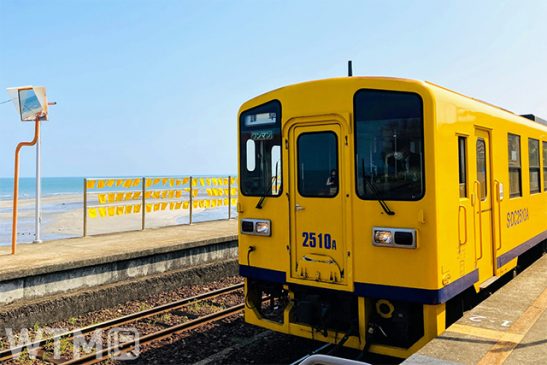 JR九州・島原鉄道「ぐるっと島原半島フリーきっぷ」 バスもフェリーもOK 1,000枚限定