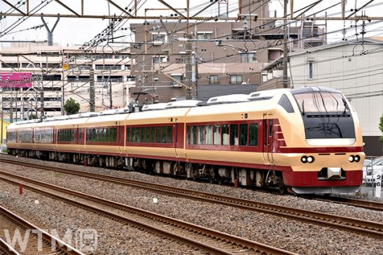 ふわもこコキア赤く色づく「ひたち海浜公園」へ 大宮・仙台から直通臨時列車 JR東日本
