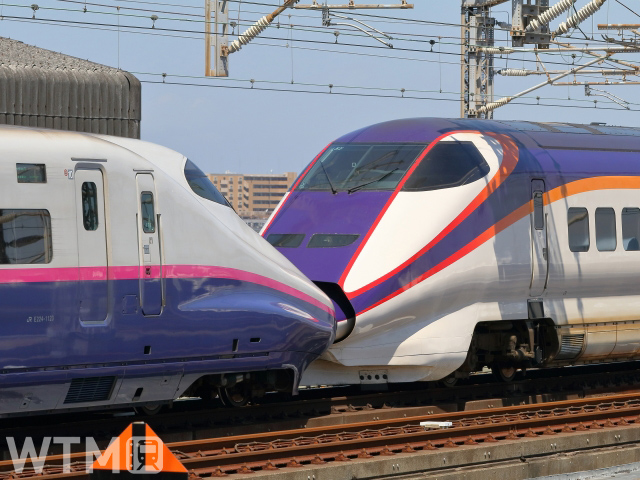 東北・山形新幹線E2系(左)とE3系1000番台の併結編成(HK-SAN/写真AC)