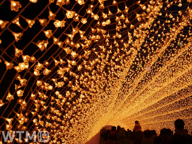 「なばなの里イルミネーション」の光のトンネル「花回廊」(rrrriiiissaa/写真AC)