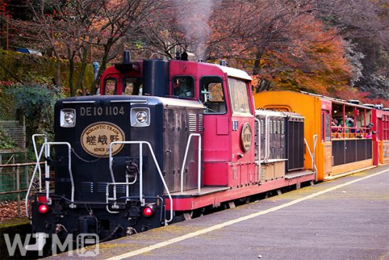 京都に元気を! 紅葉の渓谷に「光の幻想列車」 嵯峨野トロッコ列車で沿線ライトアップ