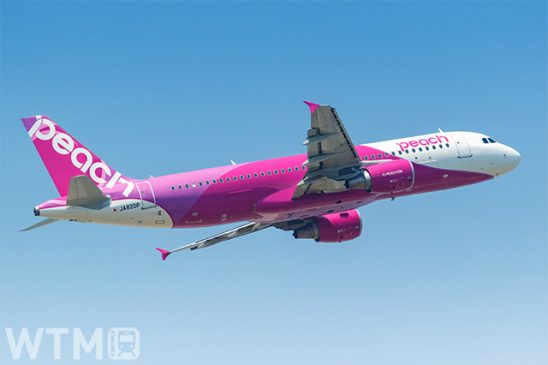 国内全33路線1か月乗り放題「Peachホーダイパス」 ピーチが150枚限定発売 19,800円〜
