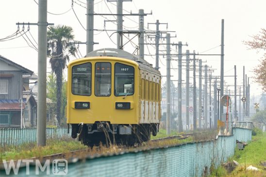 近江鉄道 大人500円・小児100円で1日乗り放題 数量限定「ワンコインスマイルきっぷ」