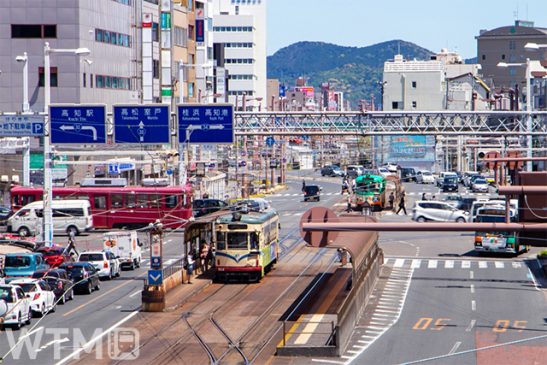 日曜祝日は映画「竜とそばかすの姫」聖地巡礼へ! 高知市内 路面電車・路線バス無料デー