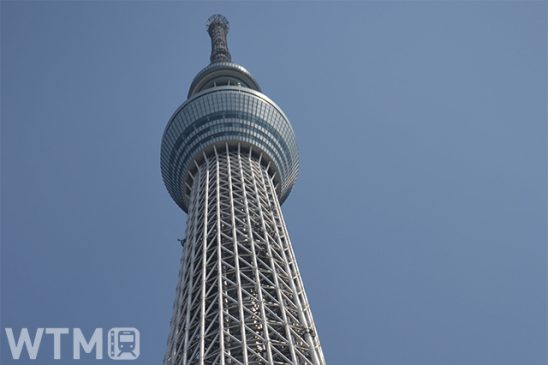 「東京スカイツリー」「東京タワー」と初連携 東京メトロ・都営地下鉄 乗り放題セット